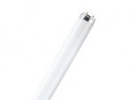 FC1812054 T8 18W 120cm 4000K 2520lm